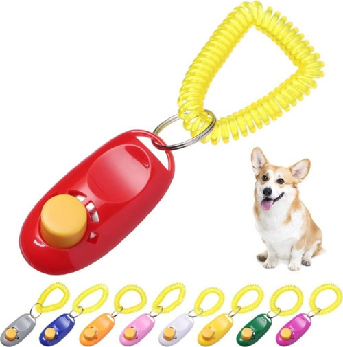 KÖPEK EĞITIMI CLICKER