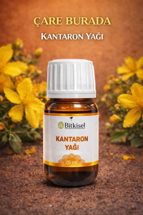 Bitkisel Kantaron Yağı 20 Ml
