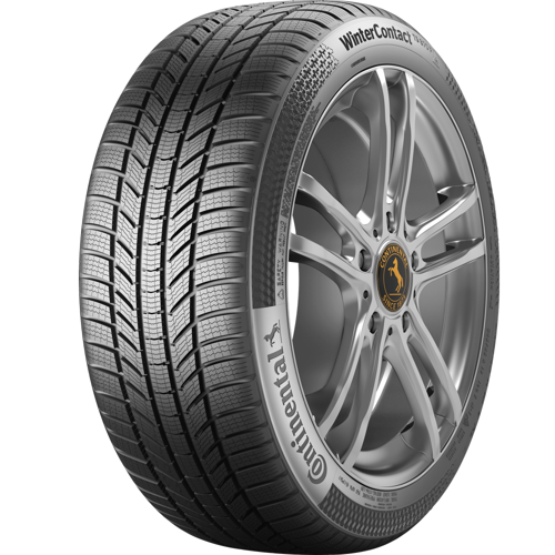 255/55R19 111V XL FR WinterContact TS 870 P (Kış) (2021)