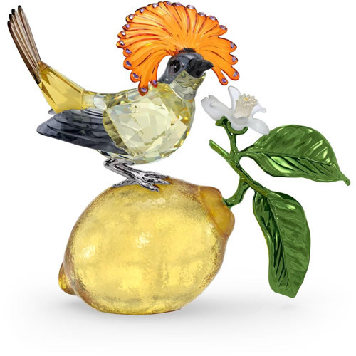 5651811 Biblo Idyllia:Royal Flycatcher