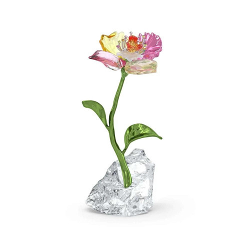 5639883 Biblo Idyllia:Flower S