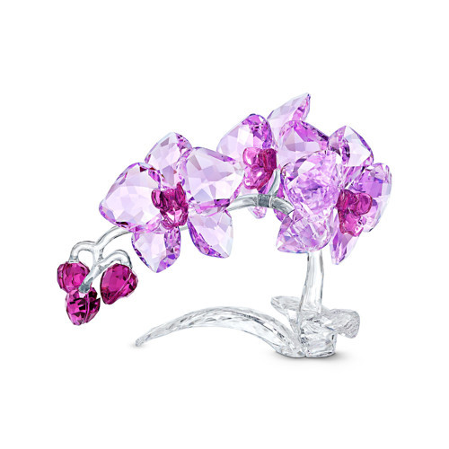 5520373 Biblo Crystal Flowers:Orchıd