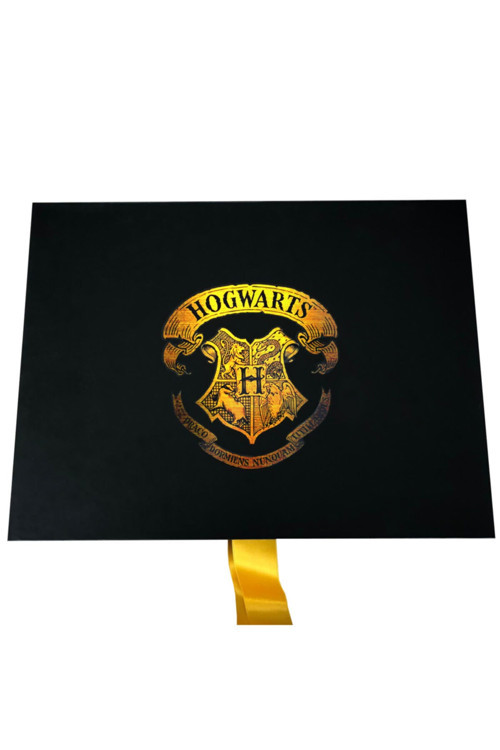 Harry Potter Hogwarts’A Davet Mektup Seti