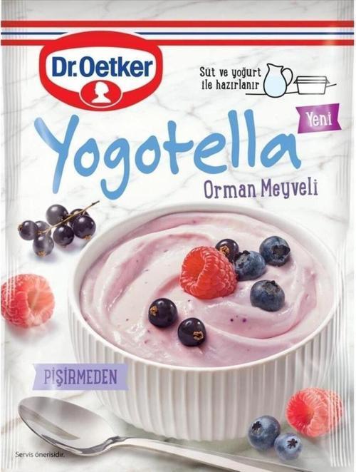 Yogotella Orman Meyveli 69 gr.