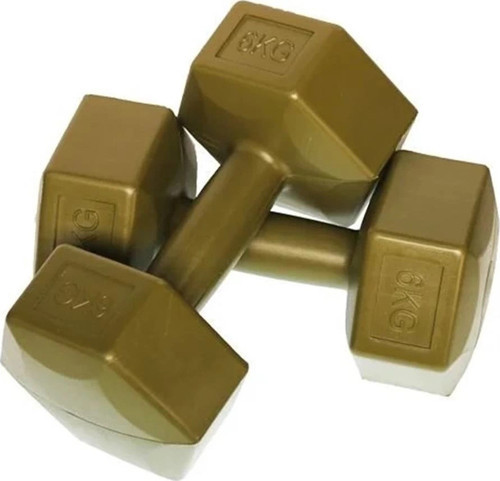 ALTIS DS86 KÖŞELİ DAMBIL SET 6 KG