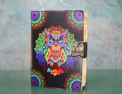 Baykuşlu Deri Defter Model 2