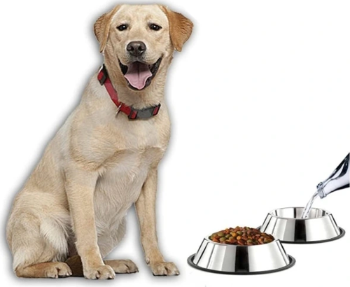 Paslanmaz Çelik Metal Mama Kabı 34 Cm.