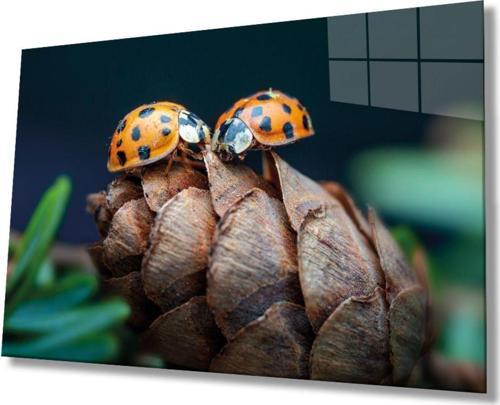 Uğur Böceği Ve Yaprak Cam Tablo Ev Ve Ofis Duvar Dekoru Hediyelik Büyük Temperli 4 mm Cam Tablo