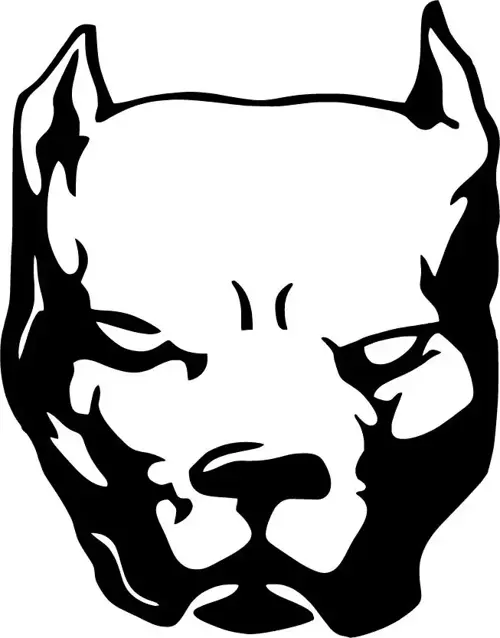 Pitbull Kafası - Araç, Oto, Laptop, Duvar Uyumlu Sticker 30*39 Cm