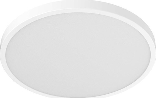 Smart Ceiling Light D20