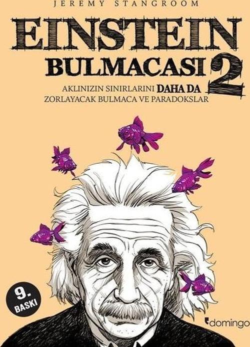 Einstein Bulmacası 2