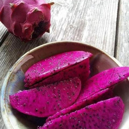 Phılıppınes Purple (özel Tür) Ejder Meyvesi Pitaya Fidanı