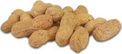 Tuzlu Kabuklu Fıstık 500 gr