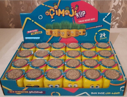 Küp Çim Adam 24'Lü Kutu