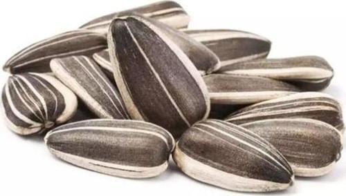 Siyah Ayçekirdeği 1 Kg (Çiğ)