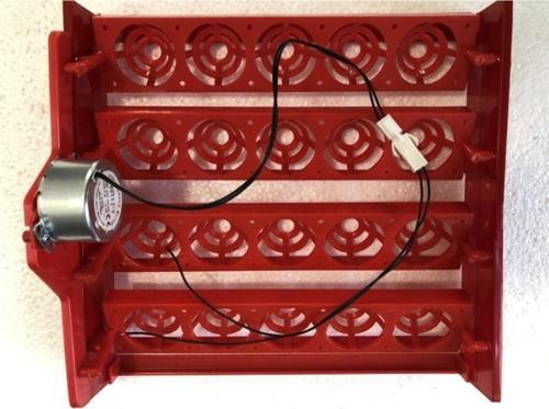 20 Tavuk Yumurta Kapasiteli Viyol