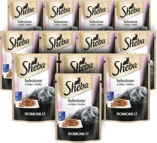 Somonlu Pouch Konserve Kedi Maması 85 Gr X 12 Adet