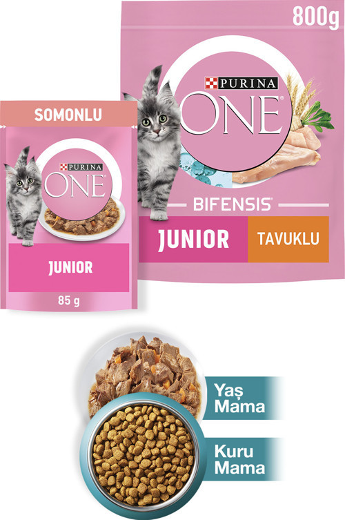 Junior Tavuk Yavru Kedi Maması 800g+Junior Somon Yaş Yavru Kedi Maması 85g