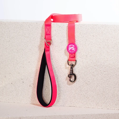 Kedi Köpek Düz Renk Sevk Kayışı 120 cm