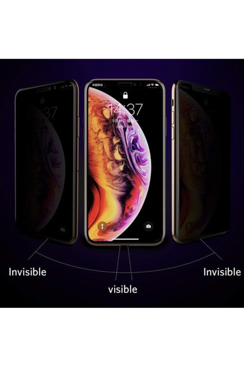 Teknopark Iphone Xs Max Privacy Kavisli Hayalet Gizlilik Filitreli Full Ekran Koruyucu