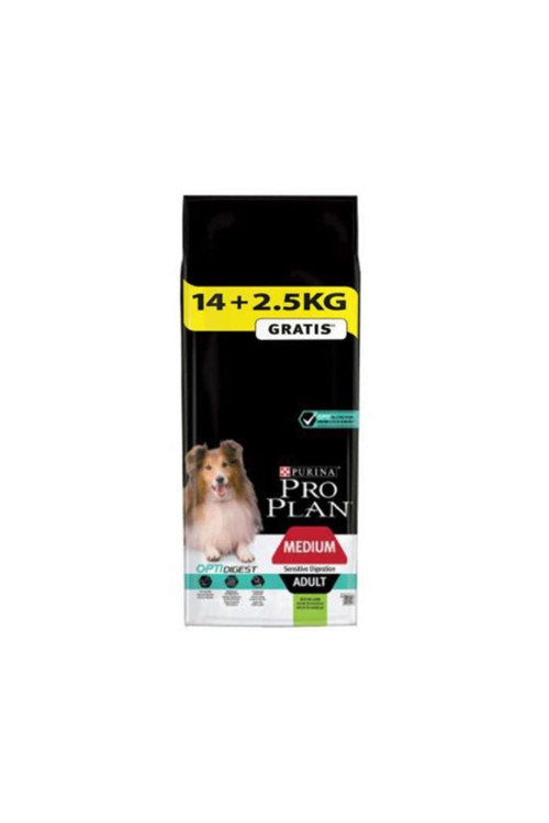 16,5 Kg Medium Kuzu Etli Yetişkin Köpek Maması