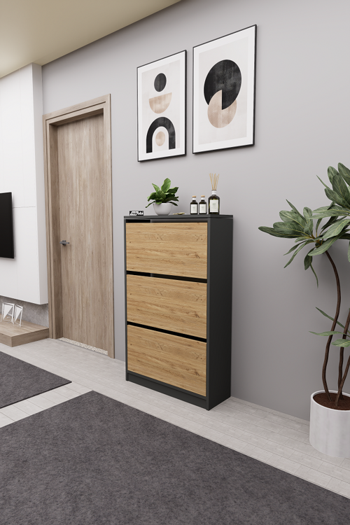 Kembe 3 Bölmeli Açılır Modern Dekoratif Ayakkabılık Antrasit - Atlantik Çam