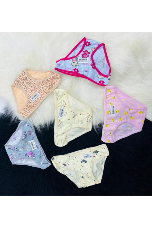 Kız Çocuk 6'Lı Slip Külot 1