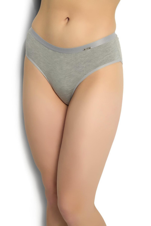 3'Lü Gri Renk Kadın Bambu Bikini-Slip-Külot / 677