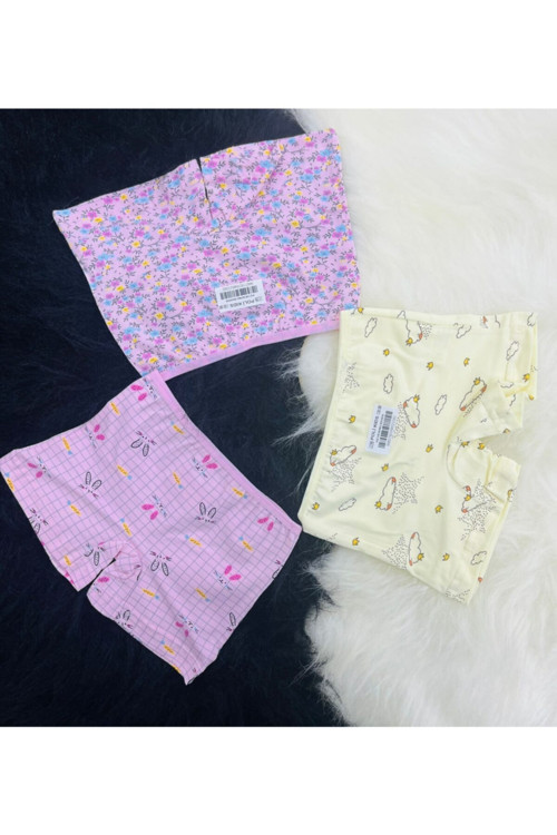 Kız Çocuk 3'Lü Boxer 1