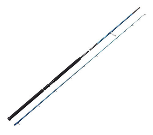 SGS2 Shore Jigging 10'/3.05m 30-100 gr 2 Parça