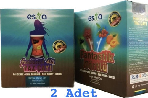 Fantastik Dörtlü 4’Lü Yaz Çayı 45’Li 90 Süzen Poşet 2 Adet Kutu