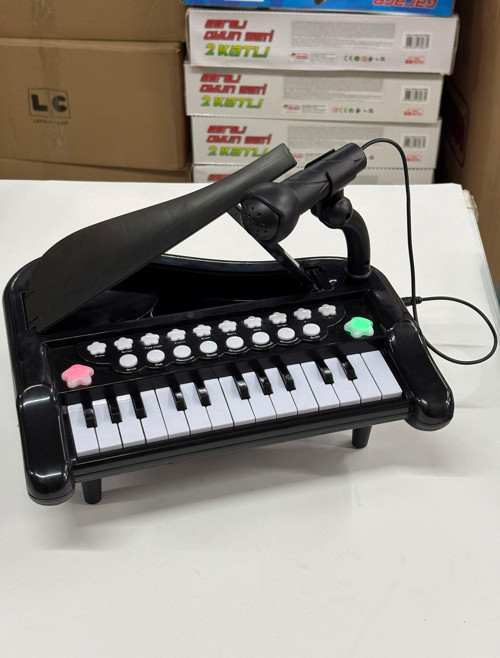 25 Tuşlu Mikrofonlu Minyatür Piyano Müzik Ses Efektleri 29 Cm Mini Org