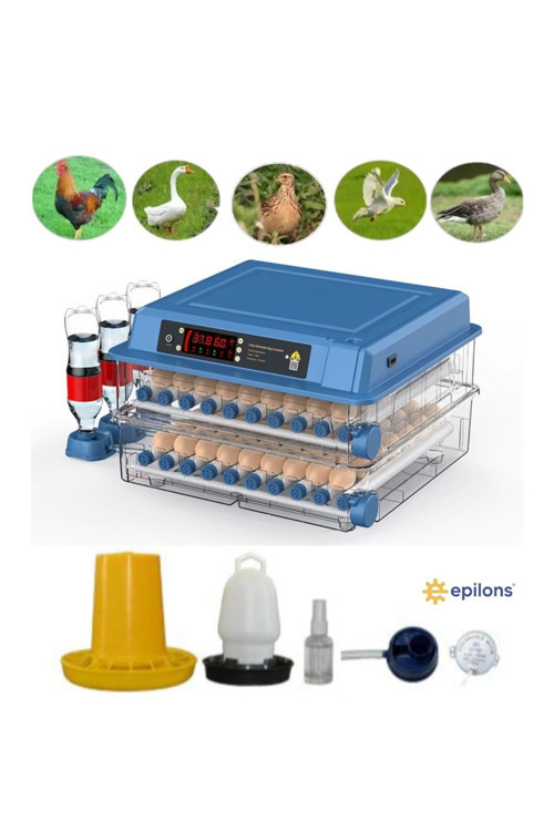 120 Yumurta Kapasiteli Tam Otomatik Kuluçka Makinesi - Civciv, Kaz, Hindi Ve Ördek Yetiştiriciliği E