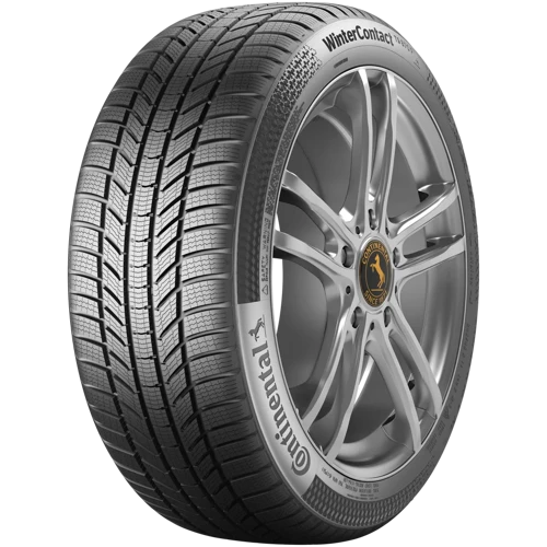 225/60R17 99H FR WinterContact TS 870 P (Kış) (2023)