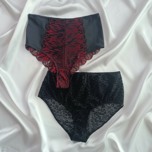 Kadın Yüksek Bel 2'li Paket Slip Külot BB2176