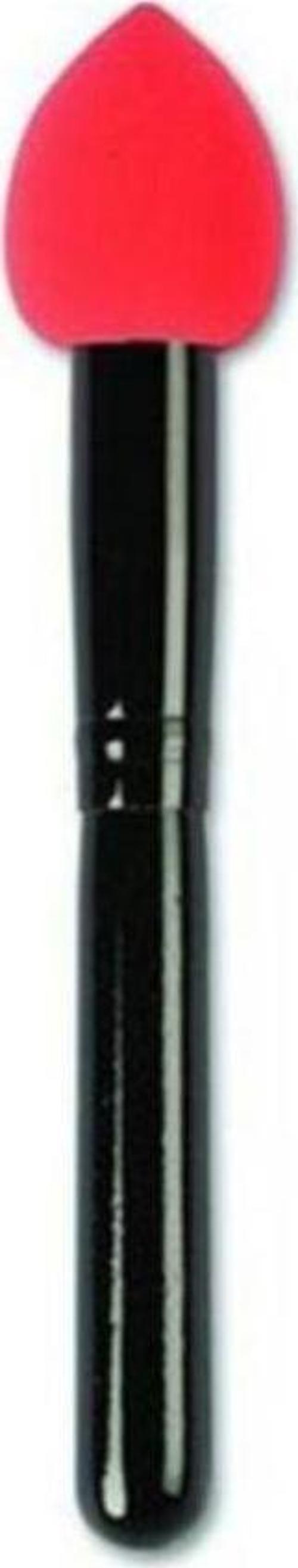 Fondöten Sünger 227