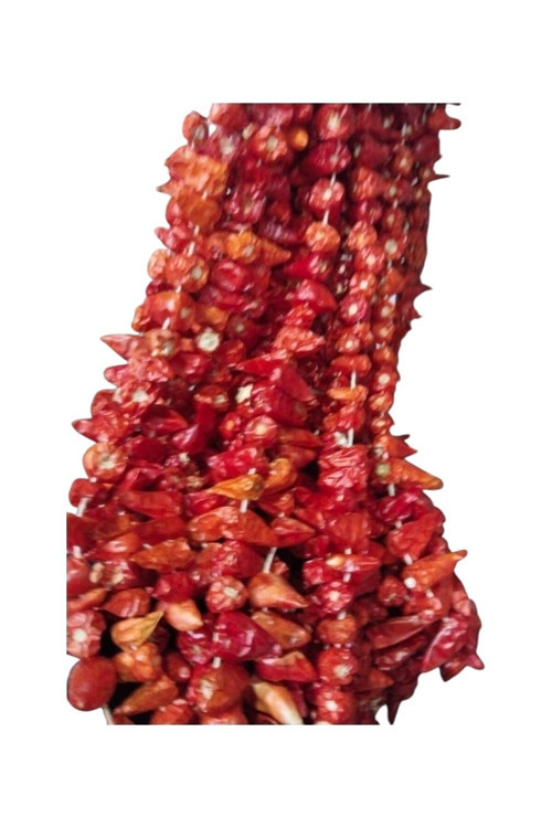 Kurutulmuş Acı Arnavut Biberi 1 Dizi (95-100 Adet)