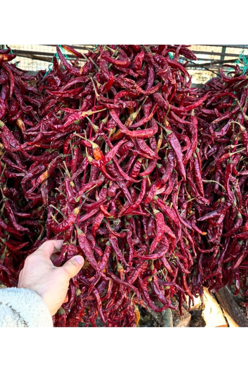 Çukurören Acı Cin Biberi Kurutulmuş(150 Yıllık Ata Tohumundan) X 3 Dizi (60 Adet)