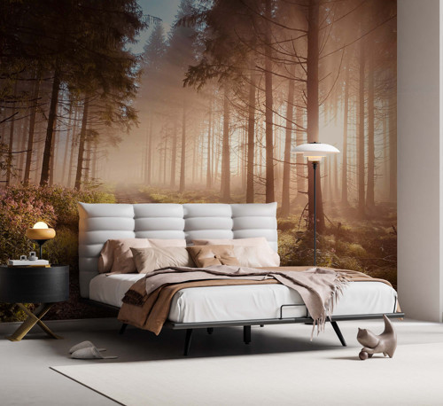 Gün Doğumu Orman Patikası Doğa Duvar Kağıdı - Salon ve Oturma Odası