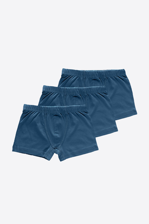 Erkek Çocuk Mavi 3 Lü Paket Pamuk Elastan Boxer 209