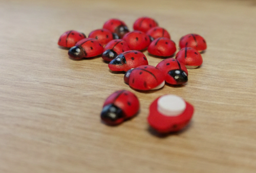 Mini Ahşap Uğur Böceği Süsleme Seti - El Yapımı Hobi ve Magnet Malzemesi 20’li Paket