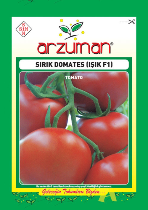 Sırık Domates (Işık F1 Hibrit) Tohumu (10 Adet)