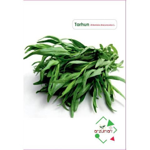 Tarhun Tohumu (50 Adet)