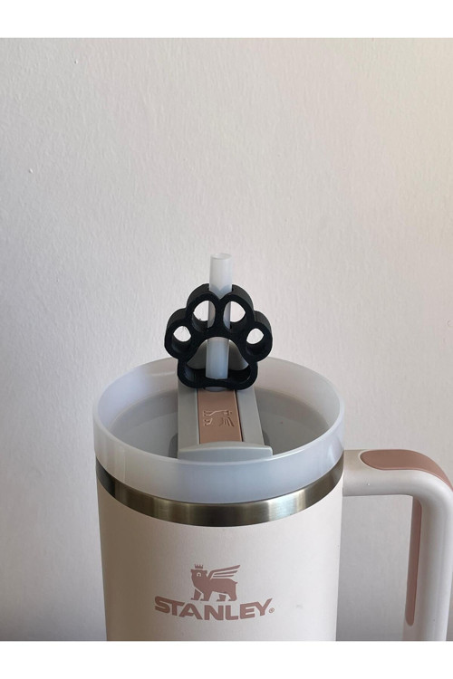 Pati Koruyucu Model Pipet Süsü – Termos Uyumlu Quencher