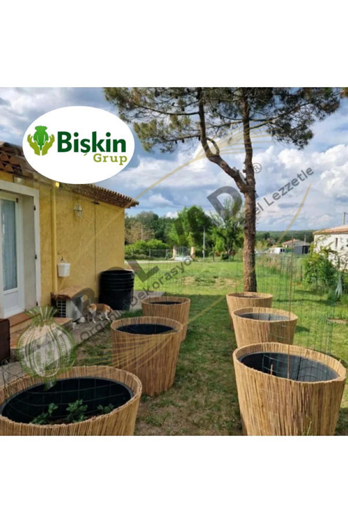 Doğal Kamış Hasır Çit 1 Metre x 1 Metre Balkon Çiti, Hasır Bambu Çit, Bahçe Çiti ve Gölgelik