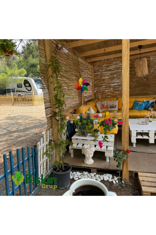 90 CM X 5 Metre Bambu Kamış Hasır Çit, Misina İpli Bahçe Ve Balkon Dekorasyonu, Gölgelik Reedfence