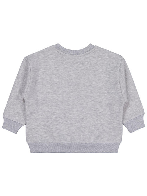 Skater Baskılı 2-5 Yaş Sweatshirt - Gri 2-3 Yaş