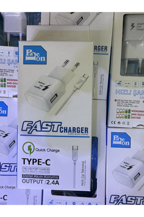 Paleon Type-C Hızlı Şarz Adaptör+Usb Kablo 3