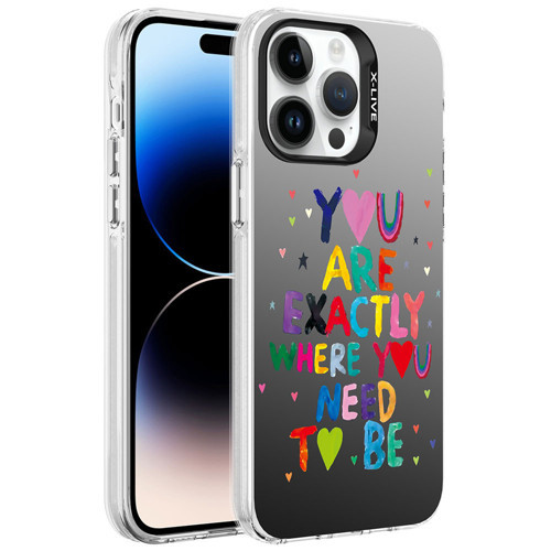 Apple iPhone 14 Pro Max Kılıf Desenli Zore Silver Sert Kılıf You
