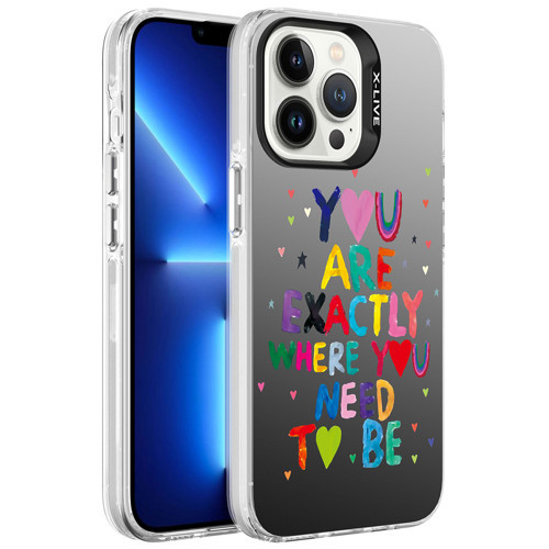 Apple iPhone 13 Pro Max Kılıf Desenli Zore Silver Sert Kılıf You